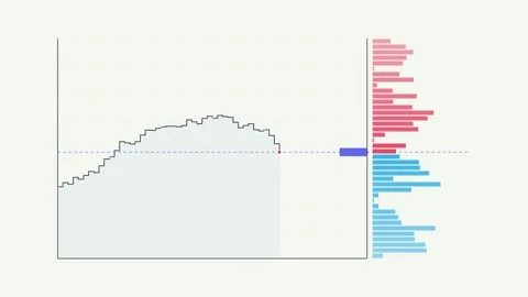 Order Book Visualized with Trading Analytics for Financial Analysis Vidéo 334018276