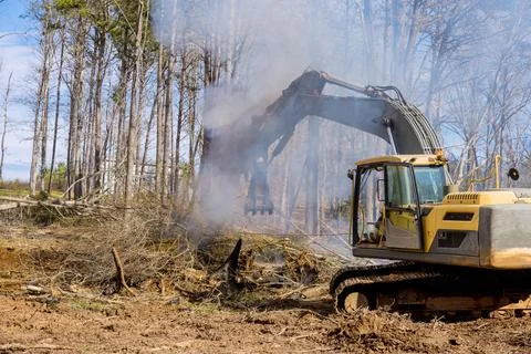In order to build houses complex, it is necessary to clear the land for burning 스톡 사진