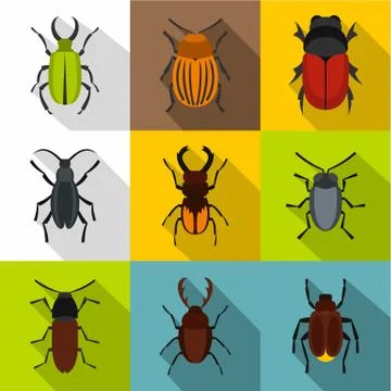 Order coleoptera icons set, flat style Stock Illustration