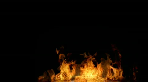 Order of Victory Stock-Footage 397830