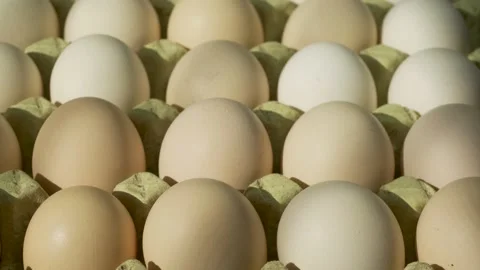 Orderly eggs Stock Footage 150901732