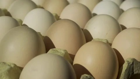 Orderly eggs Stock Footage 150901966