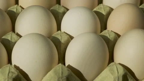 Orderly eggs Stock Footage 150902304