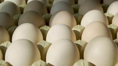Orderly eggs Stock Footage 150902429