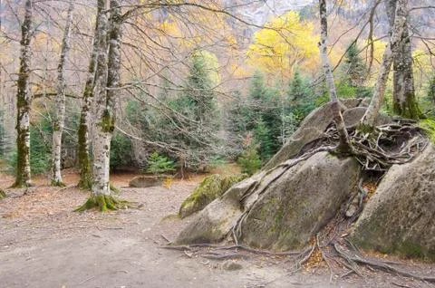 Ordesa Fotos de archivo