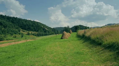 Ordinary Carpathian landscape with haystacks Stock Footage 55875017