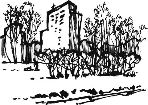 Ordinary urban landscape with tall buildings and shrubs Stock Illustration