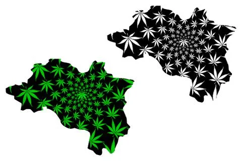 Ordu (Provinces of the Republic of Turkey) map is designed cannabis leaf gree Stock Illustration
