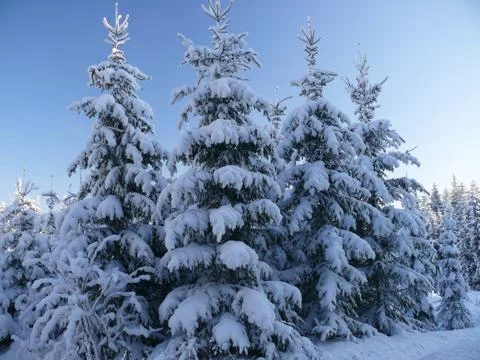 Ore mountains in winter Stock Photos