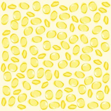 Orecchiette pattern Italian pasta. Vector Stock Illustration