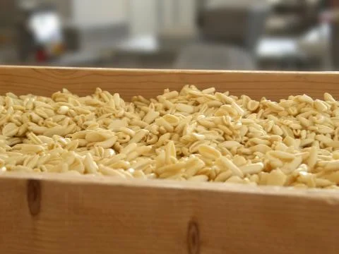 Orecchiette Stock Photos
