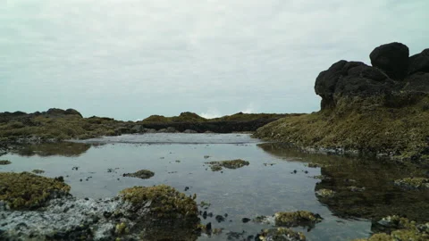 OreCoast BlowHole LowAngle Video stock 206855000