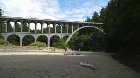 OreCoast HecetaBridge Static Video stock 206877409