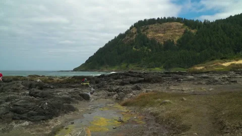 OreCoast RockBeachWithBluff Video stock 206939083