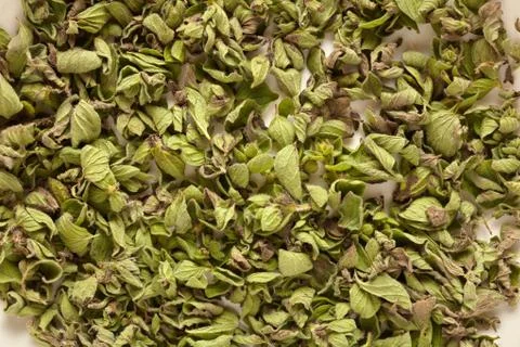 Oregano background. Stock Photos