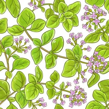Oregano branch vector pattern Stock Illustration