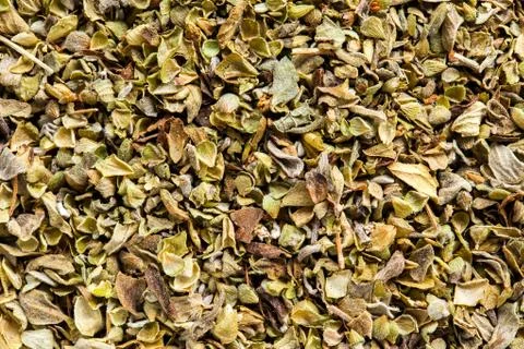 Oregano condiment -  high definition pattern Stock Photos