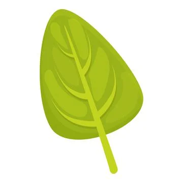 Oregano dill icon cartoon vector. Leaf herb Stock Illustration