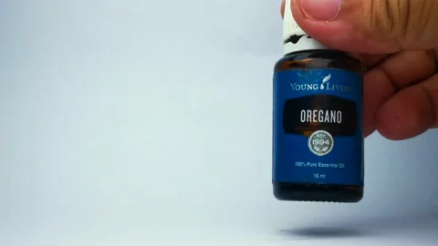 OREGANO Stock Footage 143096755