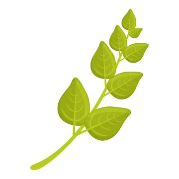 Oregano herb icon cartoon vector. Plant leaf Stock Illustration