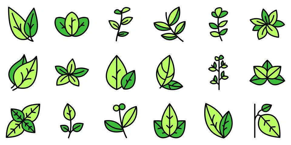 Oregano icons set vector flat Illustrazione stock