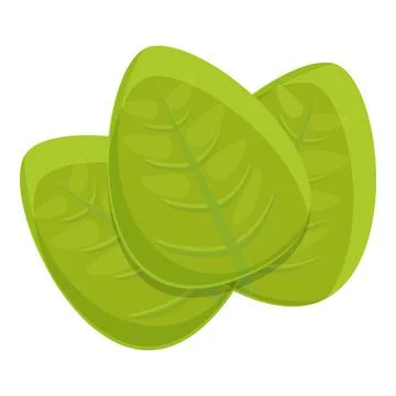 Oregano leaf icon cartoon vector. Herb plant Stock Illustration