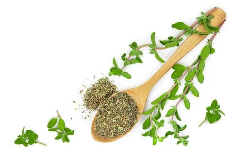 Oregano or marjoram leaves fresh and dry isolated on white background with Stock Photos