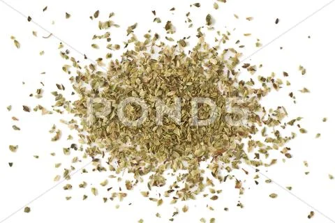Oregano Stock Photos