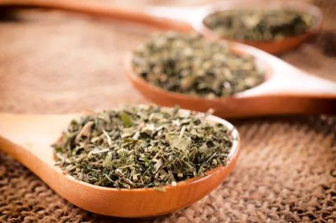 Oregano Stock Photos