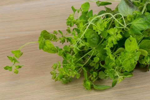 Oregano Stock Photos