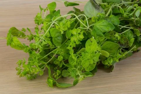 Oregano Stock Photos