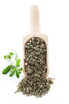 Oregano Foto stock