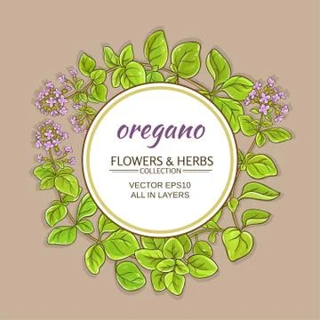 Oregano vector frame Stock Illustration