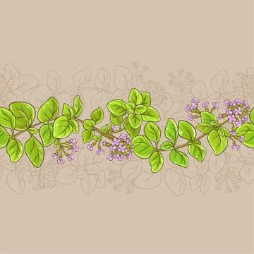 Oregano vector pattern Stock Illustration