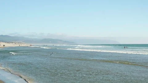 OREGON-12 Stock-Footage 342191522
