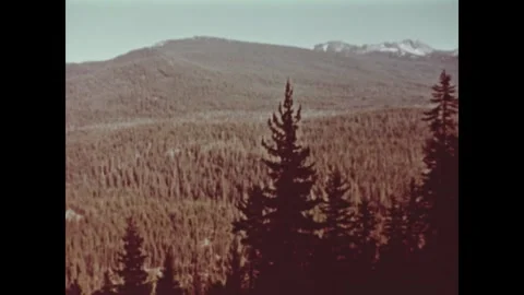 OREGON - 1951 - Hemlock and pine trees spread beneath the Cascade mountains. A Stock Footage 341978628
