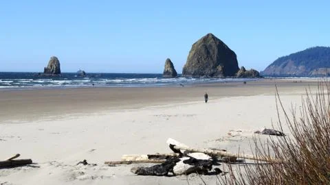 Oregon Beach with hay stack rocks off shore Foto stock