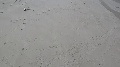 Oregon Beach Slow Pan Up Stock Footage 105325902