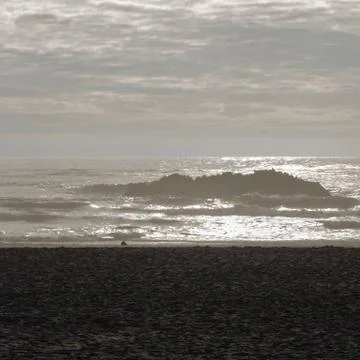 Oregon Beaches of the Pacific Coast Stock Photos
