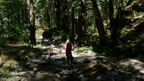 Oregon boy explores by stream in sun and shade Vídeos de archivo 95917656