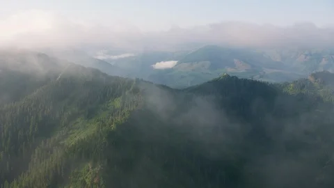 Oregon circa-2019.  Aerial view of forest and wilderness area in Oregon.  Shot Stock Footage 130352296