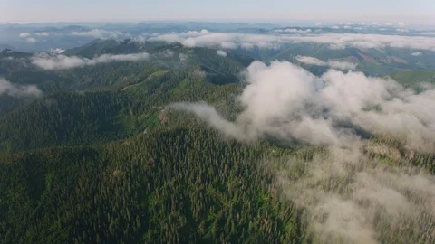 Oregon circa-2019.  Aerial view of forest and wilderness area in Oregon.  Shot Stock Footage 130352349
