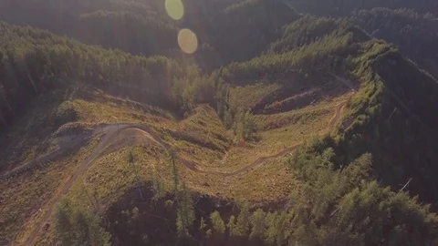 Oregon clearcut forest - drone Stock Footage 78651183