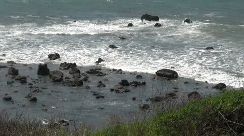 Oregon Coast (22 1) 스톡 동영상 11280039