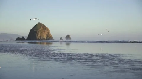 Oregon Coast Beach Haystack Rock Stock Footage 51991273