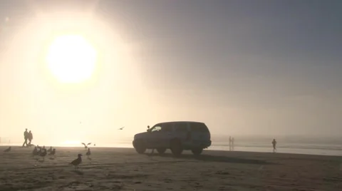 Oregon Coast Beach Park Stock Footage 46730448
