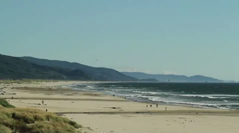 Oregon Coast Beach Scene Video stock 20500217