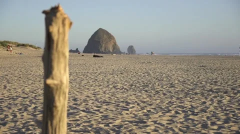 Oregon Coast Beach at Sunset Stock Footage 51990479