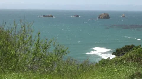 Oregon Coast from Bluff with Brush 스톡 동영상 11270441