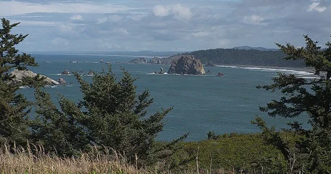 Oregon Coast Cape Blanco Vidéo 71285834